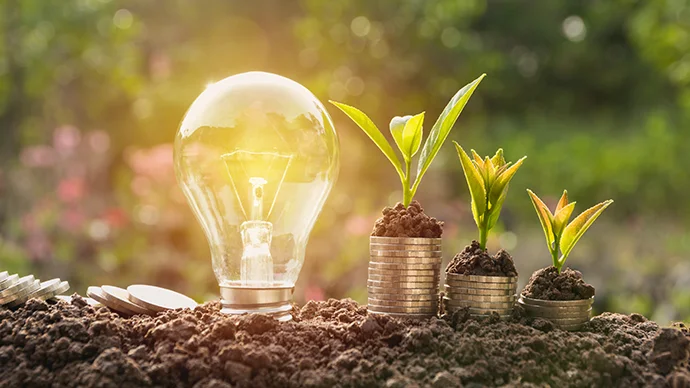 Energy saving light bulb and tree growing on stacks of coins on nature background.